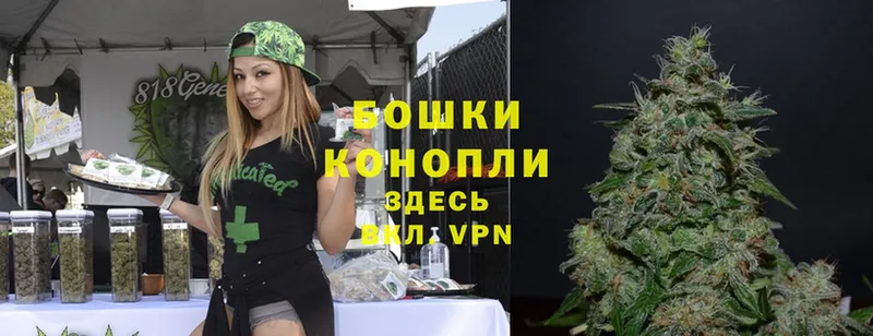 Шишки марихуана SATIVA & INDICA  Карталы 